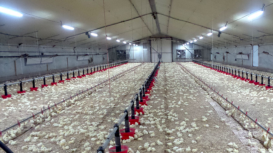 Éclairage LEDS Éclairage LEDS